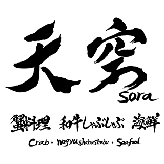 天空-SORA-