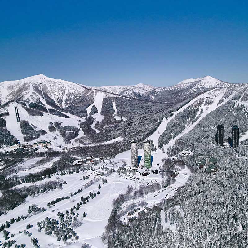 今日的營業資訊