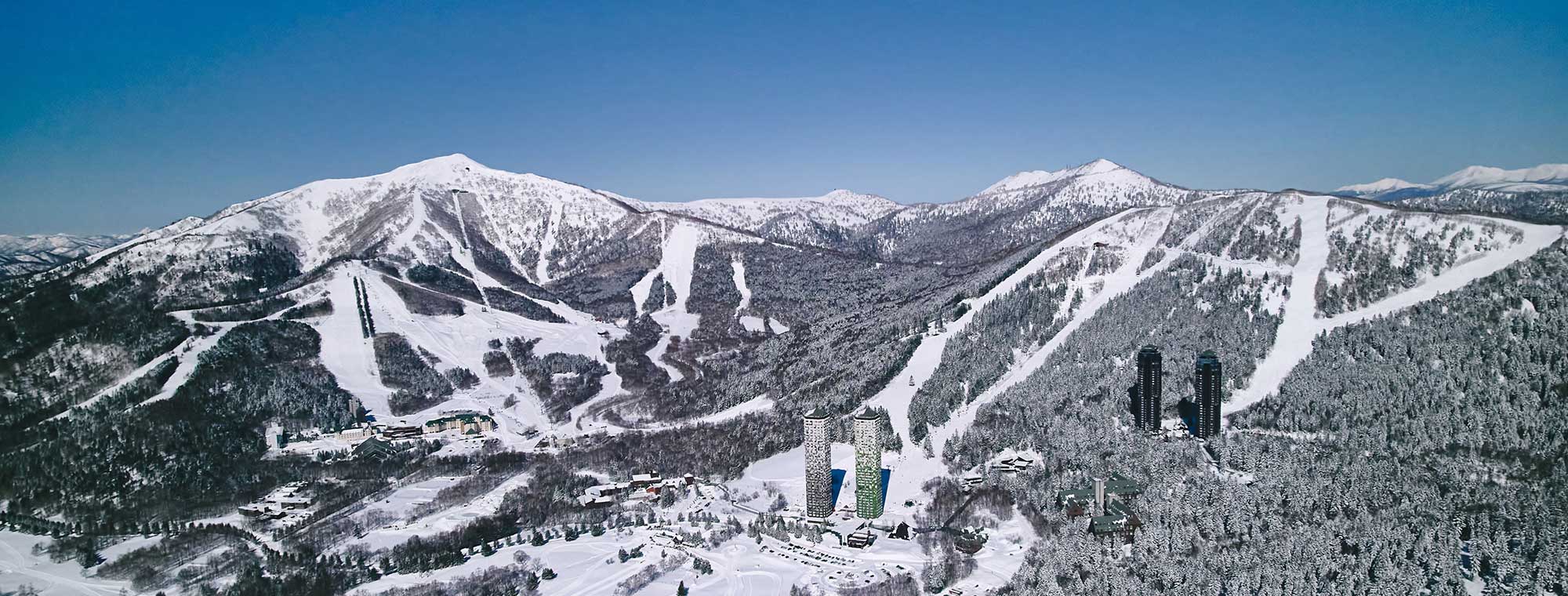 今日的營業資訊