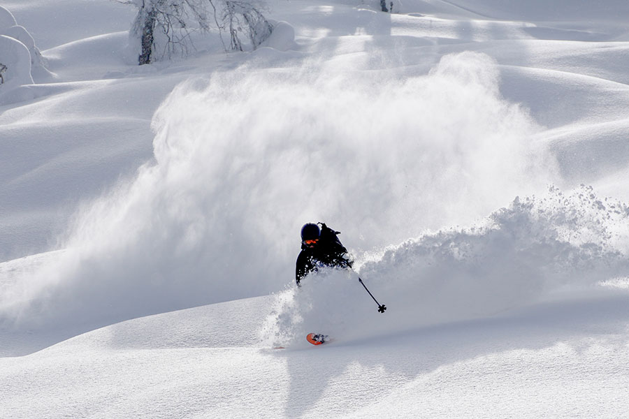 Powder Diaries
