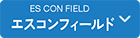 ES CON FIELD