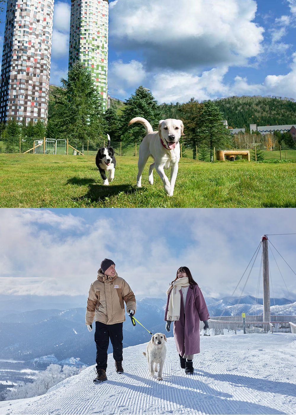 愛犬と楽しむリゾートステイ