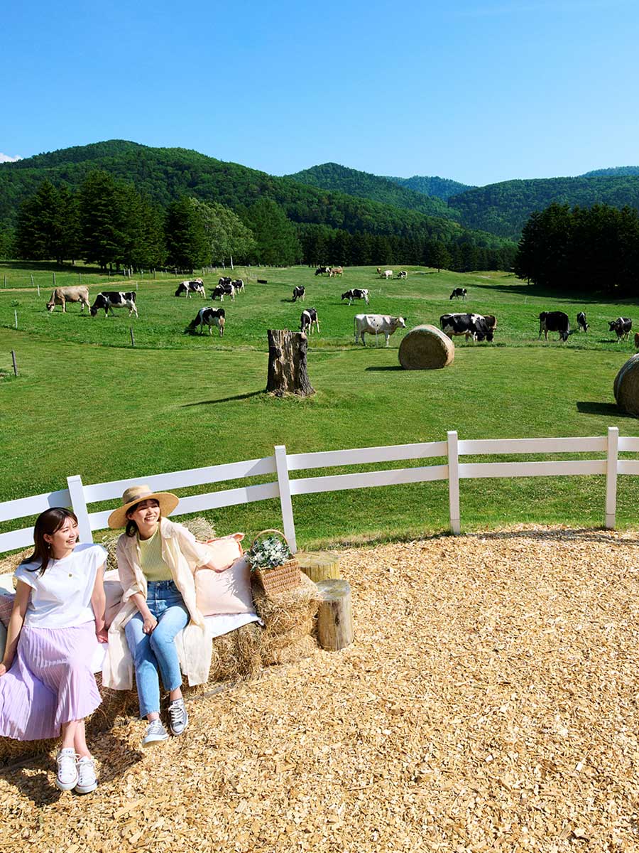 雄大な景色をひとり占めして、ピクニック気分を楽しみたい