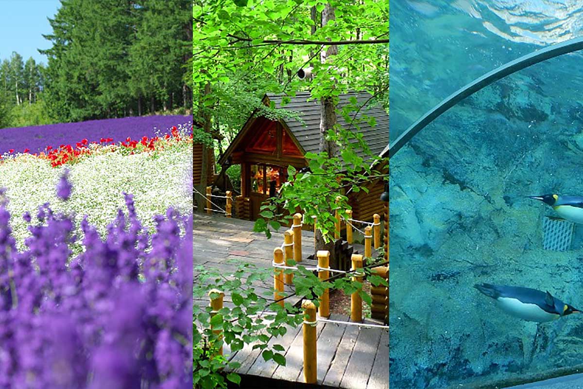 「雲海テラスオープニングセレモニー」今年も開催