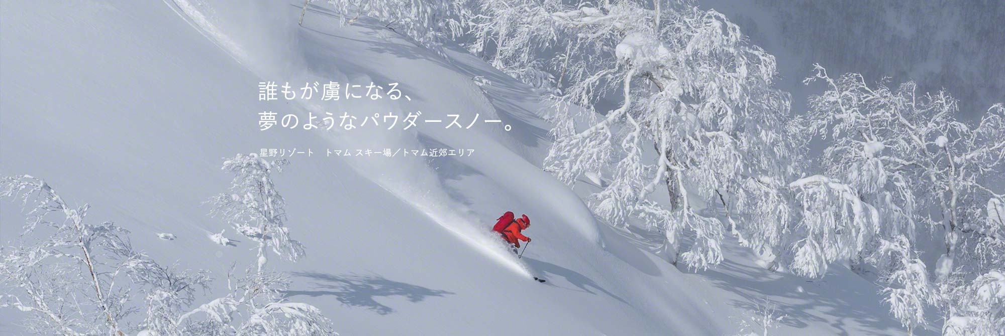 パウダースノー