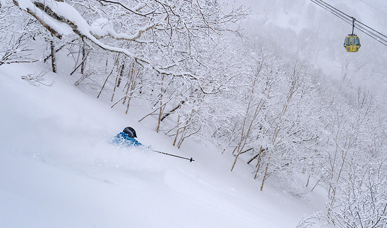 Experts Only Powder Area